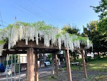 立山公園の画像