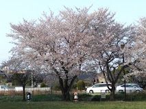 富士見台公園の画像