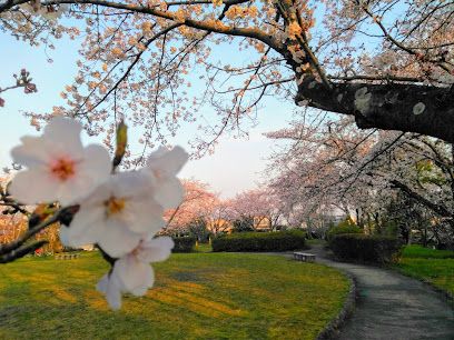 晴美公園の画像