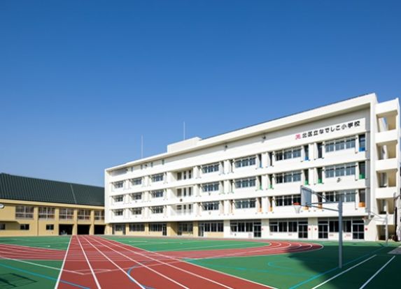 北区立なでしこ小学校の画像