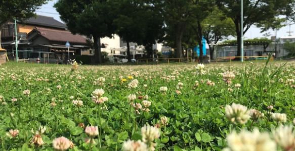 鶴里公園の画像