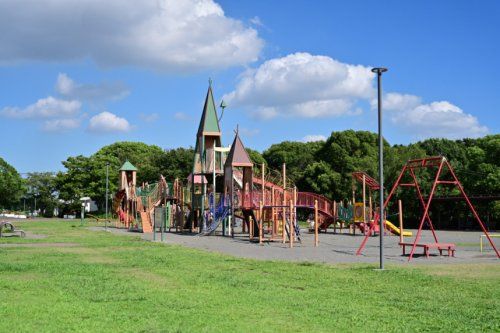 海老名運動公園の画像