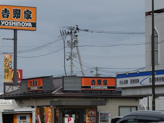 吉野家 4号線福島入江町店の画像