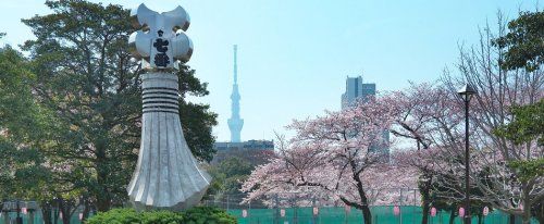 東白鬚公園の画像