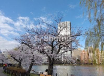 上野恩賜公園の画像