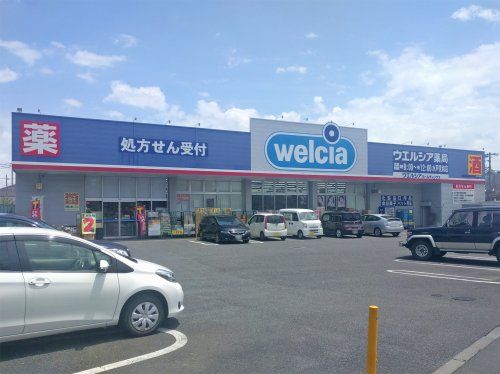 ウェルシア水戸見和店の画像