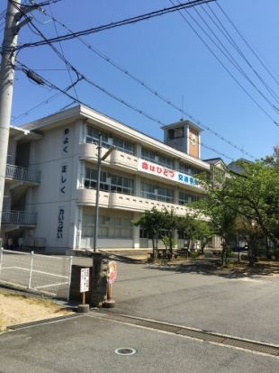 八条小学校の画像