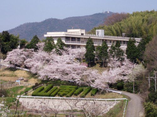 福山市立山南小学校の画像