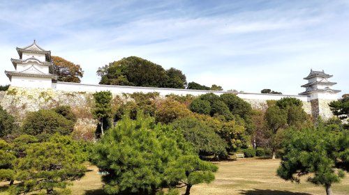 兵庫県立明石公園の画像