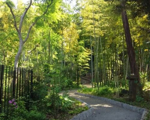 瀬田四丁目南緑地の画像