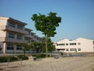 中央台南小学校の画像