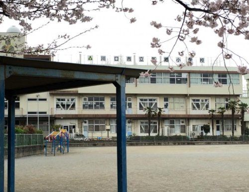 川口市立新郷小学校の画像