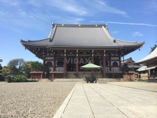 池上本門寺の画像