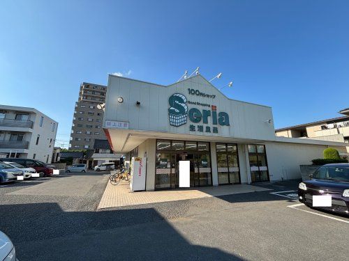 Ｓｅｒｉａ大宮櫛引店の画像