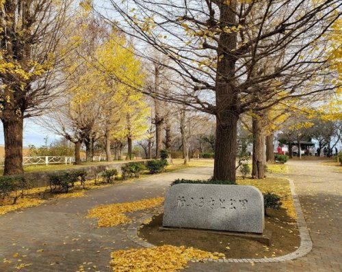 柏ふるさと公園の画像