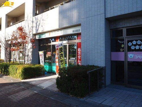 セキ薬局 新白岡店の画像