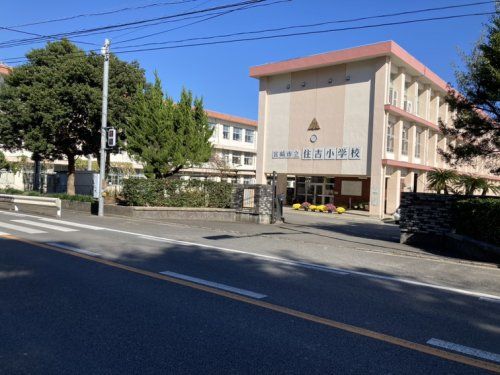 宮崎市立住吉小学校の画像