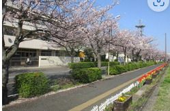 浦安市立富岡小学校の画像