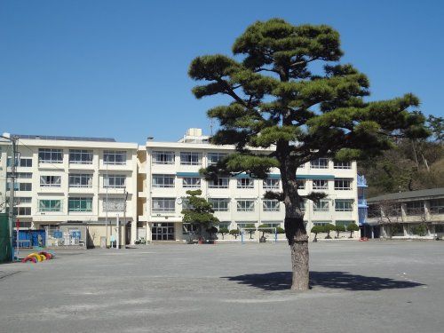 片瀬小学校の画像
