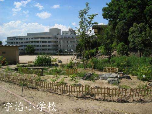 宇治市立宇治小学校の画像