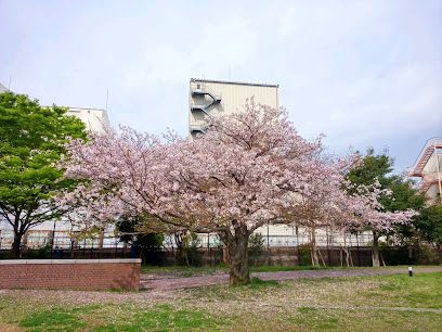 兵庫駅南公園の画像