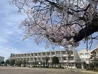 埼玉小学校の画像