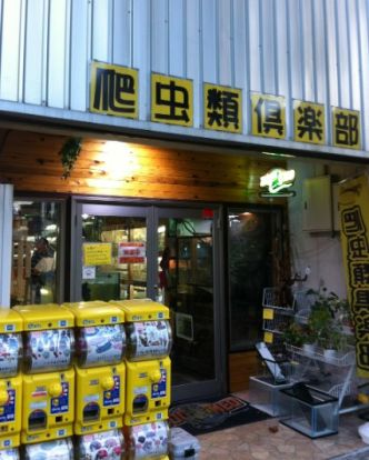 爬虫類倶楽部 中野店の画像