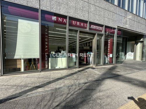 ナチュラルローソン NL川崎フロンティアビル店の画像