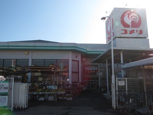 コメリハード＆グリーン豊田店の画像