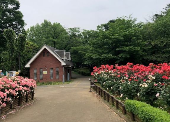 与野公園の画像