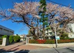 練馬区立練馬中学校の画像