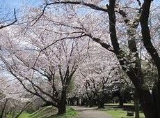 神立公園の画像