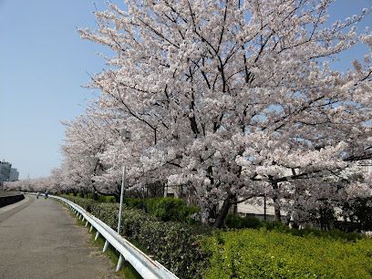 新高中央公園グラウンドの画像