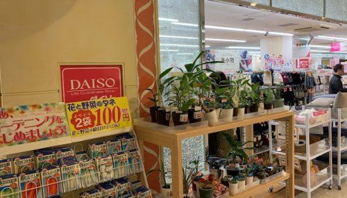 ザ・ダイソー DAISO ウェルブ六甲道店の画像