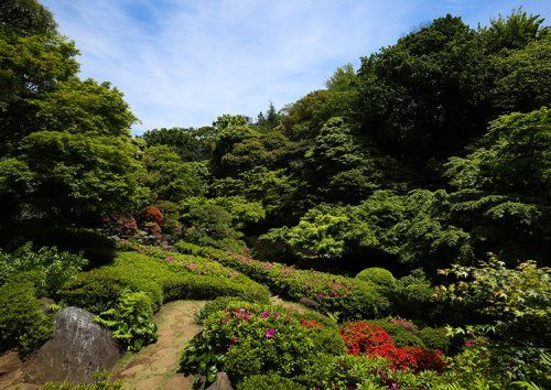 池田山公園の画像