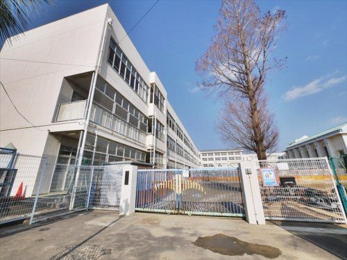 千鳥が丘小学校の画像