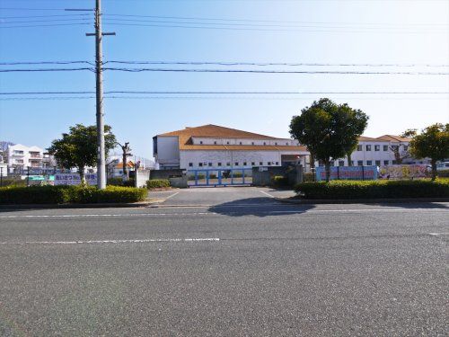 樫野台小学校の画像