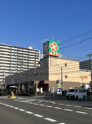 ライフ 毛馬店の画像