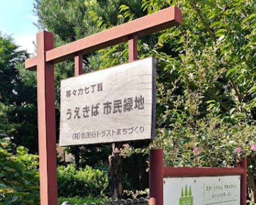 等々力七丁目うえきば市民緑地の画像