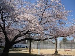 浦江公園の画像