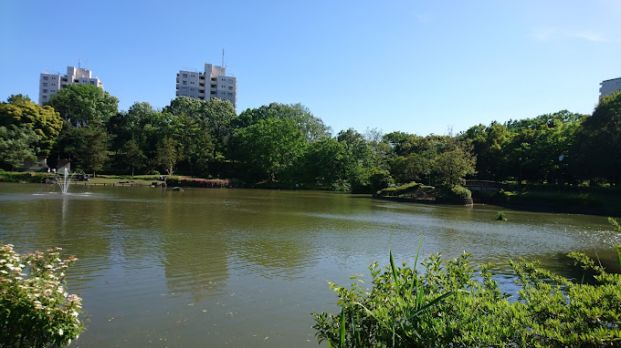 豊ヶ丘南公園の画像