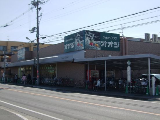 スーパーオオジ安堂寺店の画像