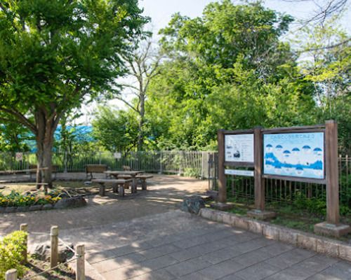 世田谷区立八幡山かまのくち緑地の画像