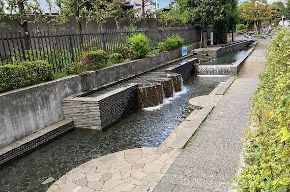 八幡山緑道 じゃぶじゃぶ池の画像