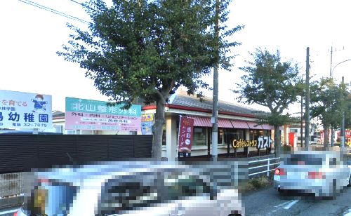 ガスト 平塚河内店(から好し取扱店)の画像