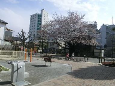 野沢二丁目公園の画像