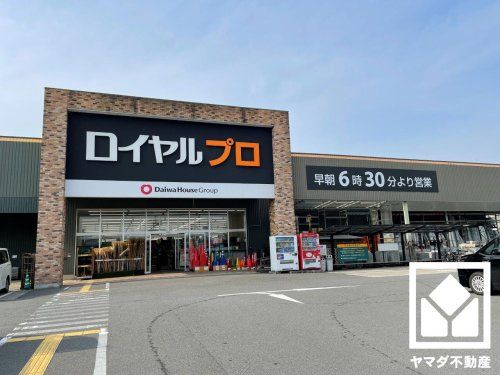 ロイヤルプロ 京都横大路 店の画像