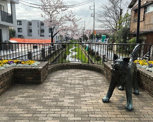 呑川親水公園の画像