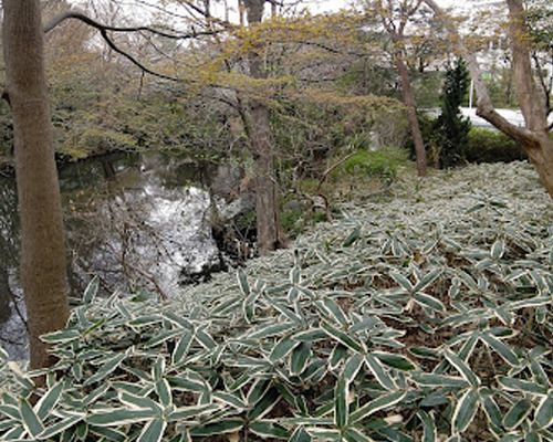 深沢八丁目無原罪特別保護区の画像