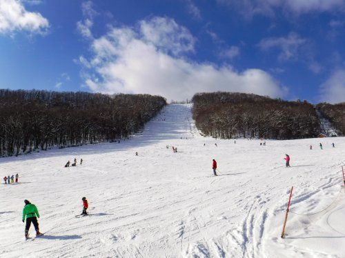札幌藻岩山スキー場の画像
